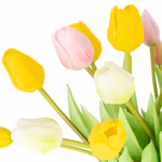 43858-21-kunsttulpen-bunt-2.jpg