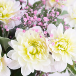 43335-blumenstrauss-dahlia-zoom.jpg