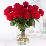 rote-rosen-20180014.jpg