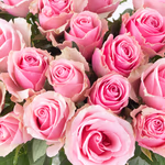 20190066-20-rosa-rosen-zoom.jpg