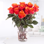 20190040_orange_rosen_int.jpg