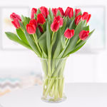 20-rote-tulpen.jpg