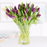 20-lila-tulpen.jpg