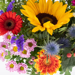 43924-blumenstrauss-sonnige-farbenpracht-2.jpg