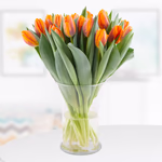 20-orange-tulpen.jpg