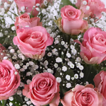 20190071_rosa_rosen_mit_schleierkraut_zoom.jpg