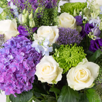 20190083_blumenstrauss_hortensien_xxl-zoom.jpg