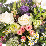 43482-wiesenstrauss-clara-xxl-2.jpg