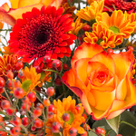 43387-herbststrauss-celia-2.jpg