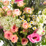 43483-wiesenstrauss-rosanna-2.jpg