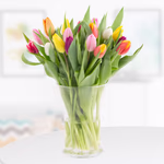20-bunte-tulpen.jpg
