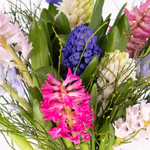 43054_blumenstrauss_hyazinthenmix-2.jpg
