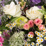 43482-wiesenstrauss-clara-xxl-3.jpg