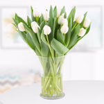 20-weisse-tulpen.jpg