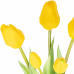 43862-7-gelbe-kunsttulpen-2.jpg