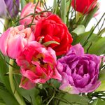 20190011_4260625430590_bunter_tulpenstrauss_zoom.jpg