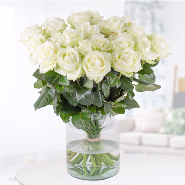 20 bis 100 Weiße Premium-Rosen Avalanche (60cm)