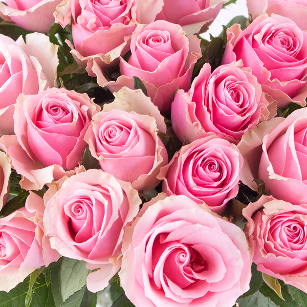20190066-20-rosa-rosen-zoom.jpg