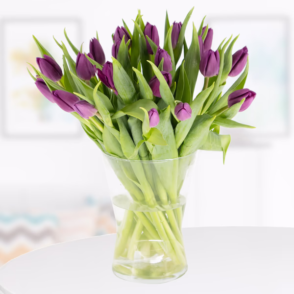 20-lila-tulpen.jpg