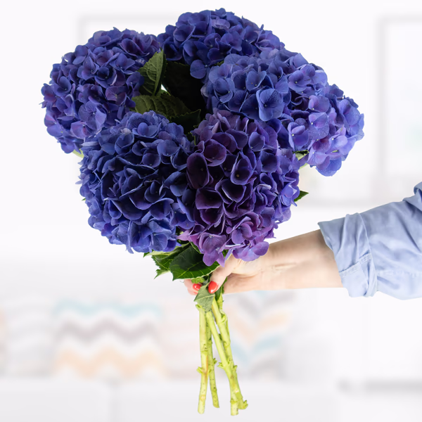 43777-blauer-hortensien-blumenstrauss-5-stiele.jpg