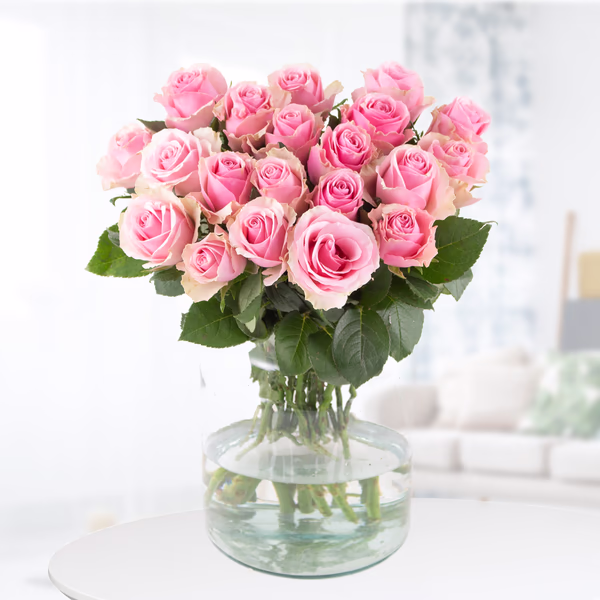 20 Rosa Rosen (40cm)