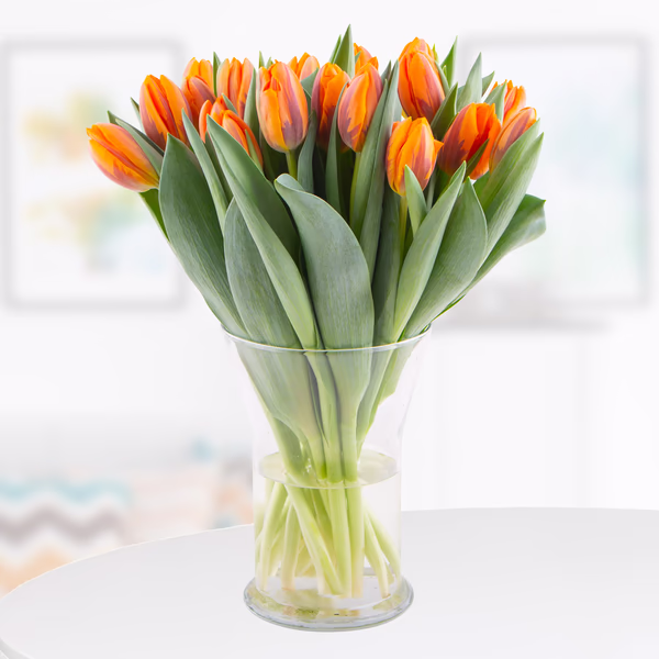 20-orange-tulpen.jpg