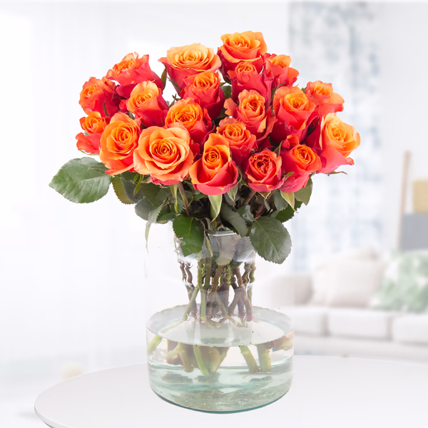 20 Orange Rosen (40cm)