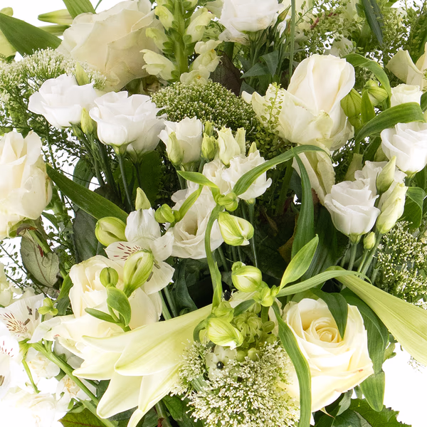 43034_champagnertraum_2.jpg