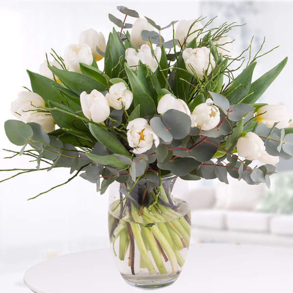 20190012_4260625430606_weisse_tulpen_int (1).jpg