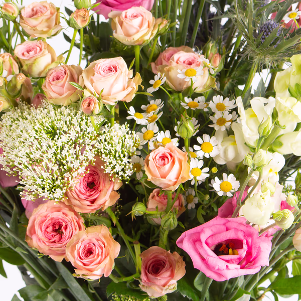43483-wiesenstrauss-rosanna-2.jpg