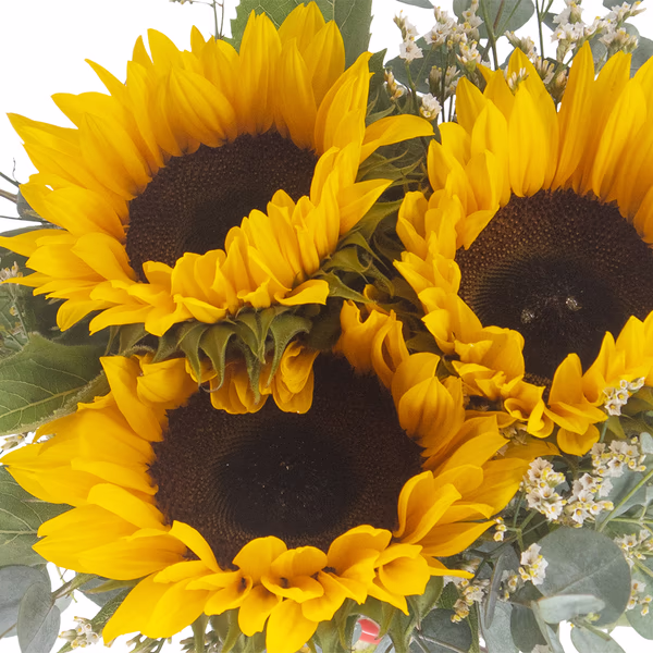 43879-blumenstrauss-sonnenblumen-mit-eukalyptus-2.jpg
