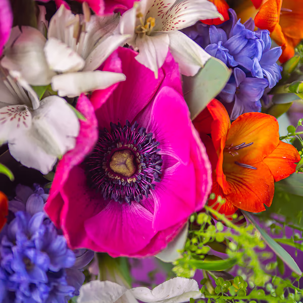 43176-blumenstrauss-anemonentraum-2.jpg