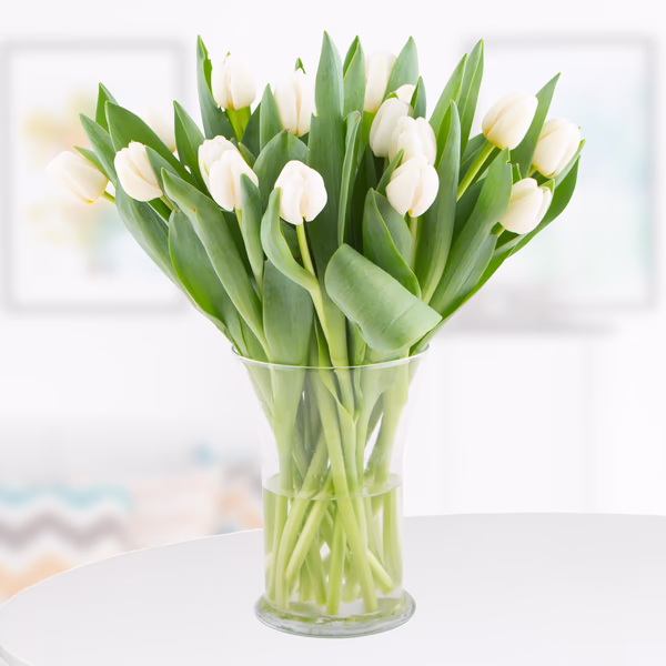 20-weisse-tulpen.jpg
