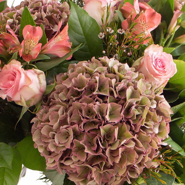 blumenstrauss-hortensienliebe-zoom.jpg