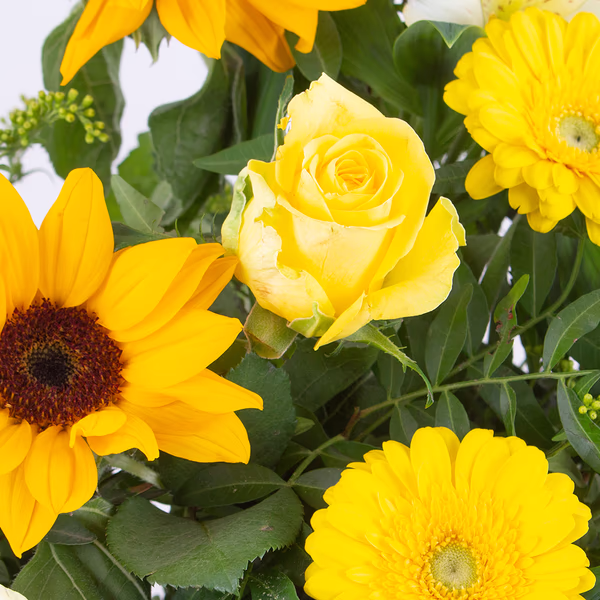 20190051_4260625431078_blumenstrauss_sonnenzauber_zoom.jpg