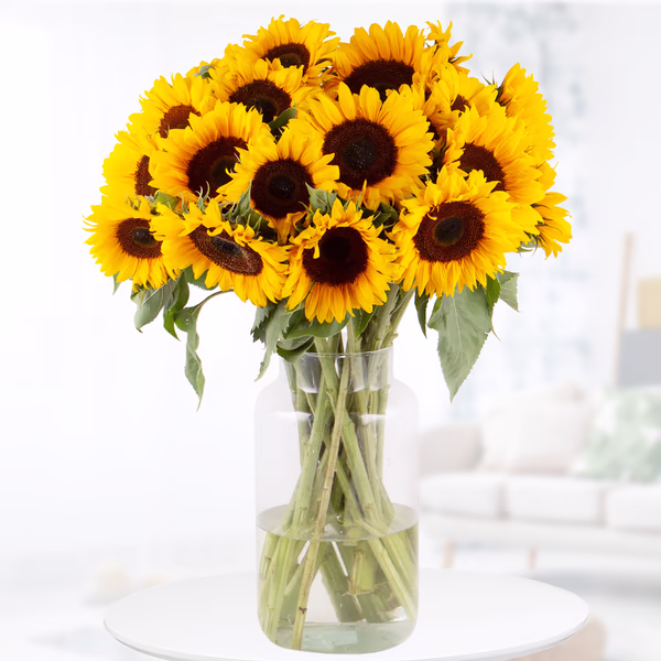 20190089_20_sonnenblumen_int_2.jpg