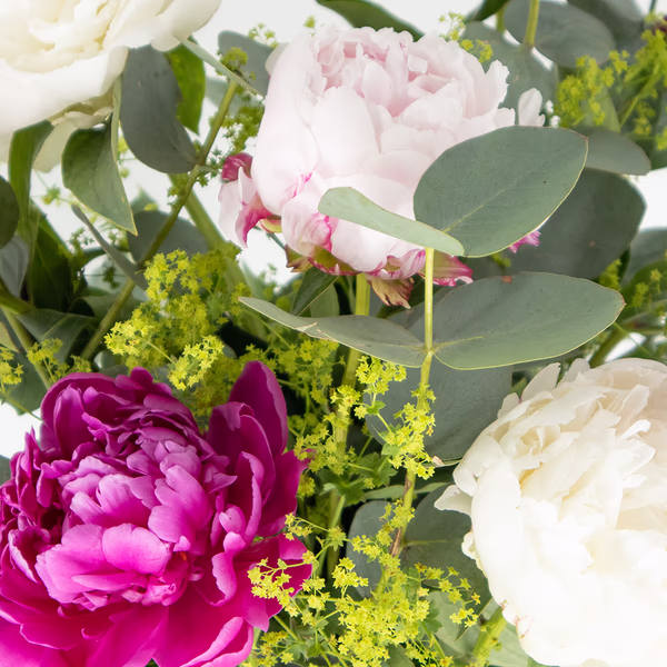 43922-blumenstrauss-pfingstrosenzauber-2.jpg