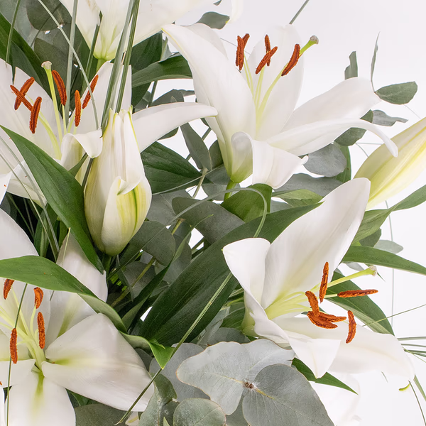 43025_weisse_lilien_2.jpg