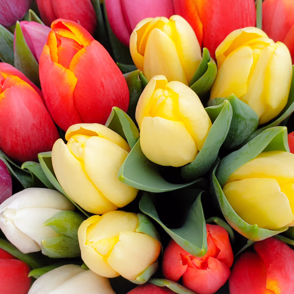 Tulpen Blumenstrauß