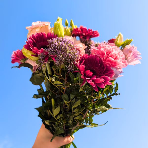 Spring Flowers
