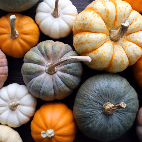 Herbst-Deko für dein Zuhause