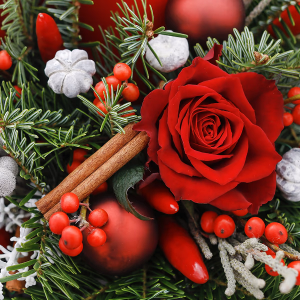 Die besten Alternativen zum Weihnachtsbaum