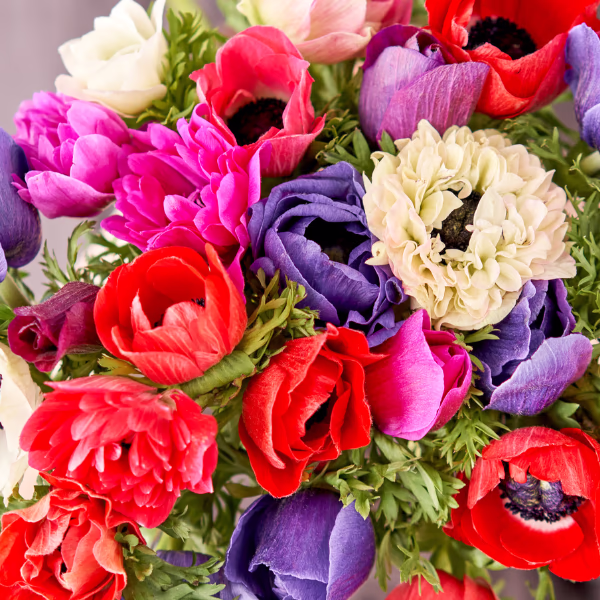 Anemonen Blumenstrauß