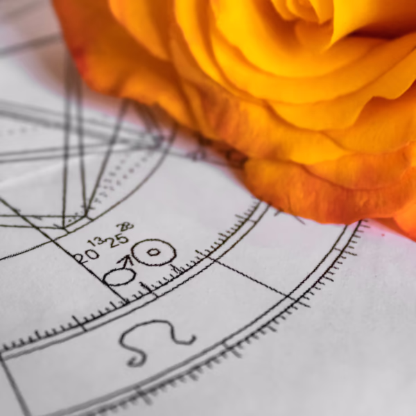 Die passende Blume zu jedem Sternzeichen