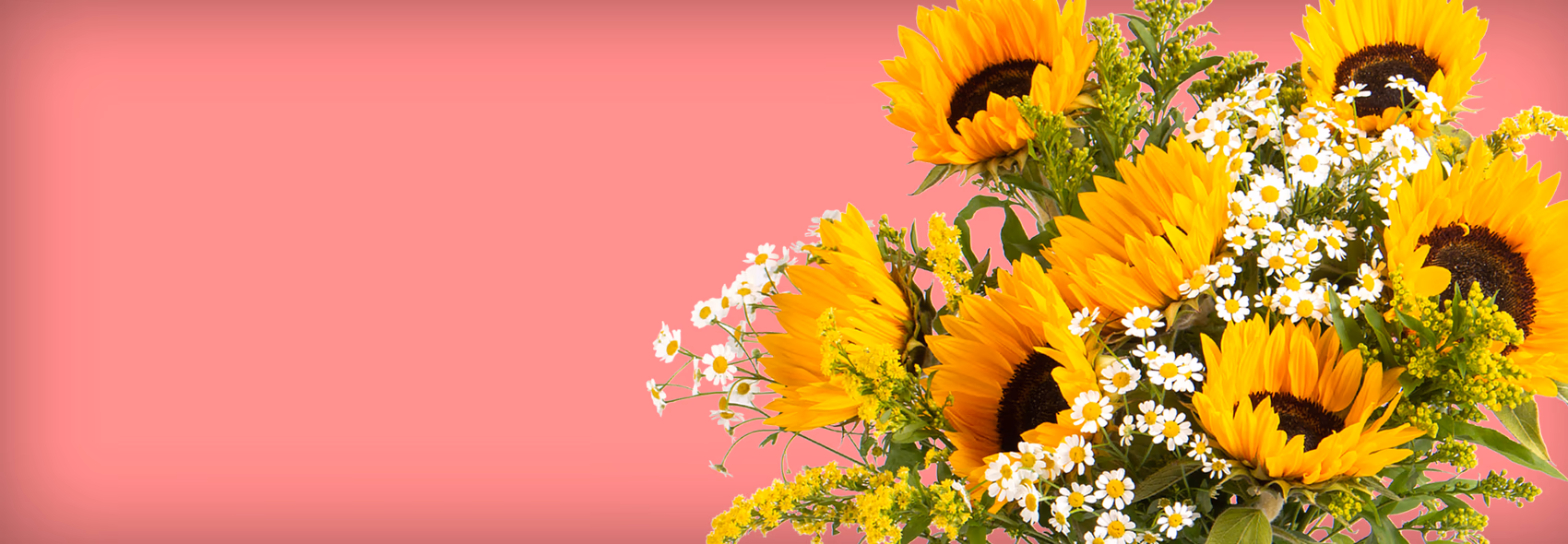Sommerblumen verschicken