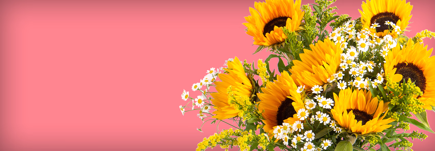 Sommerblumen verschicken