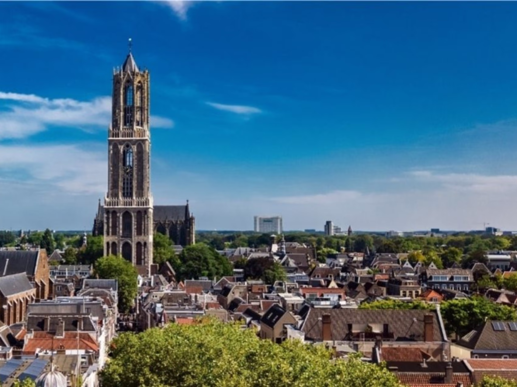 Blumenlieferung in Utrecht