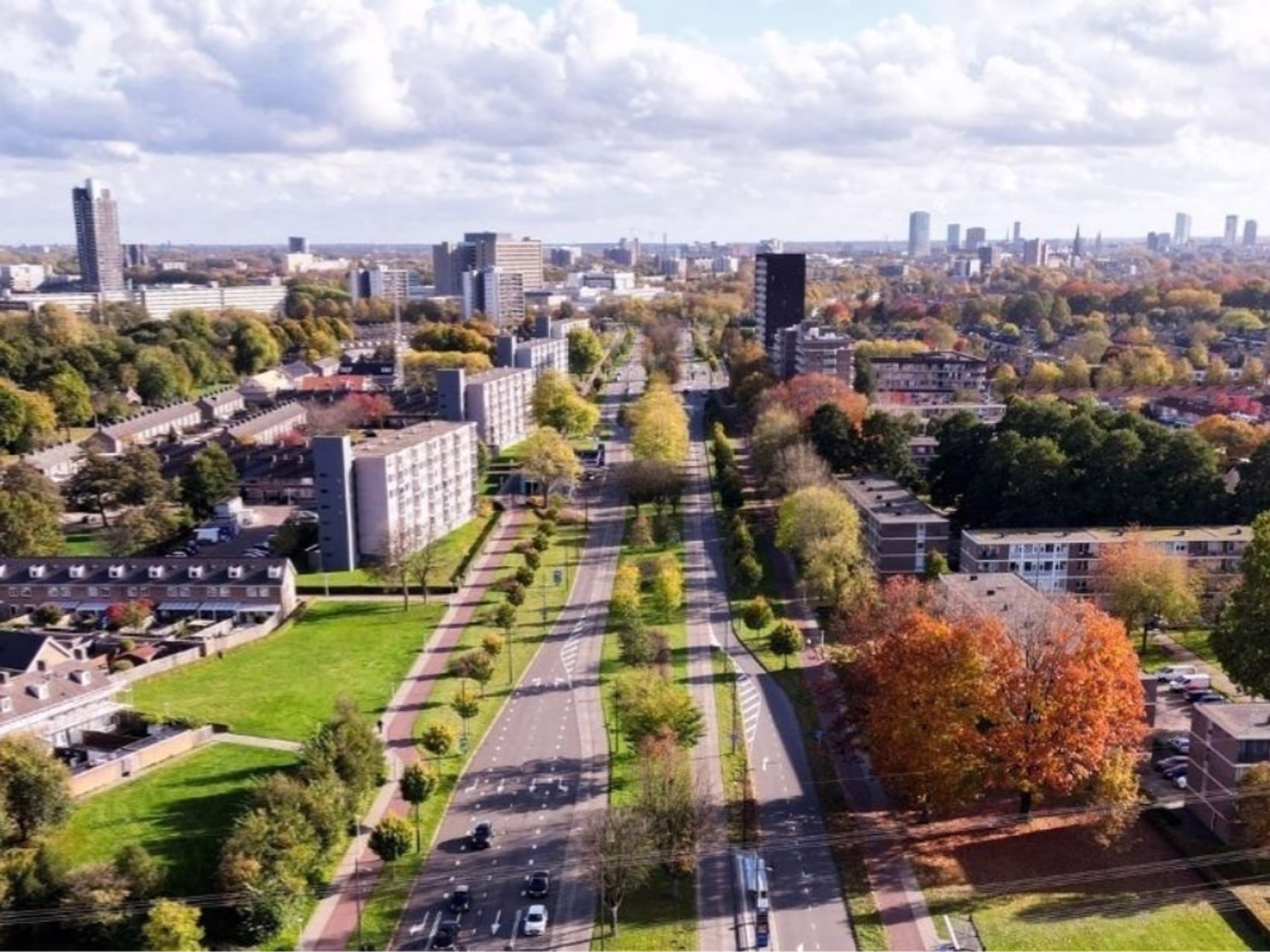 Blumenlieferung in Eindhoven