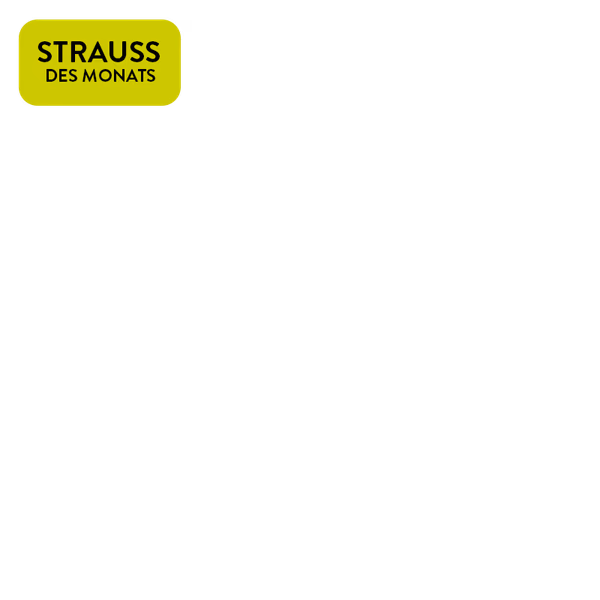 https://static.blumenshop.de/img/scale/600/600/magnolia/jcr:5c771e28-3045-4d35-8829-3b08d796b218/strauss-des-monats.2026-06-01-09-29-31.png