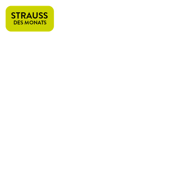https://static.blumenshop.de/img/scale/600/600/magnolia/jcr:5c771e28-3045-4d35-8829-3b08d796b218/strauss-des-monats.png
